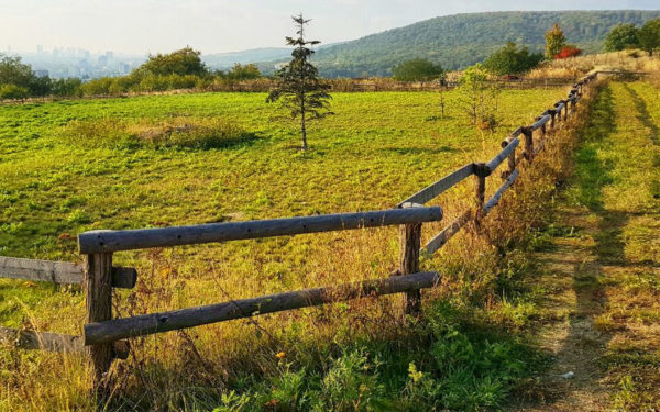Prekrásny pozemok Rača - vinica s panorámou Bratislavy na Vtáčikovej - Obr.č.1