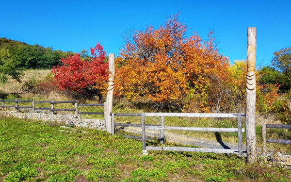Prekrásny pozemok Rača - vinica s panorámou Bratislavy na Vtáčikovej - Obr.č.3