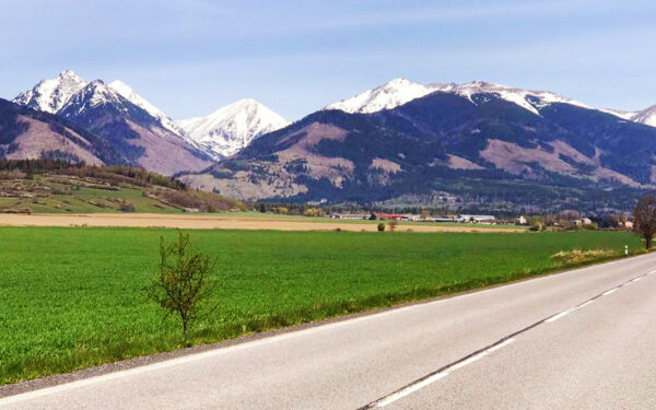 Pozemok Liptov - Tatry - Vavrišovo (7km Liptovský Mikuláš) - Včely, ovce, kozy, kone, farma - Malý obr.č.13